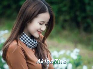 AkinaTina