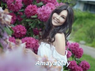 AmayaMay