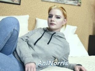 AniNorris