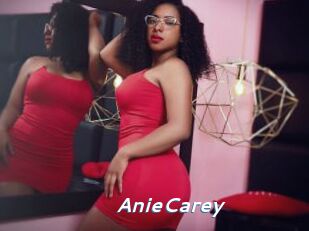 AnieCarey