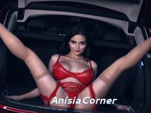 AnisiaCorner
