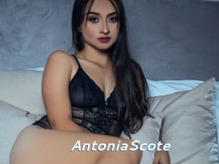 AntoniaScote