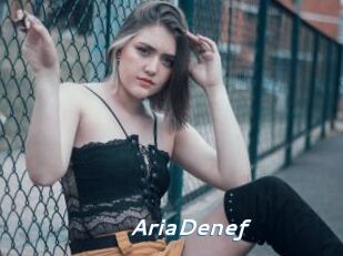 AriaDenef