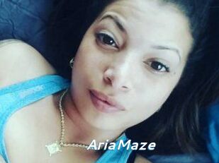 Aria_Maze