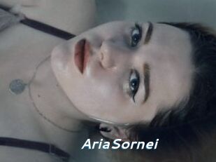 AriaSornei
