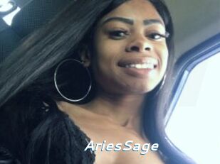 AriesSage