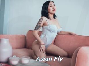 Asian_Fly