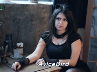 AviceBird