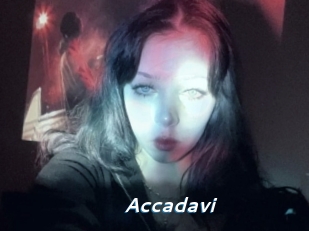 Accadavi