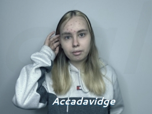 Accadavidge