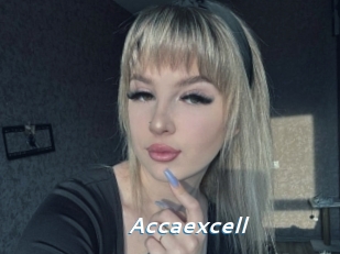 Accaexcell