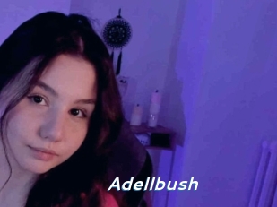 Adellbush