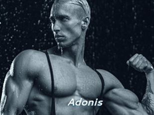 Adonis_
