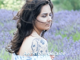 Aerinbaudelaire