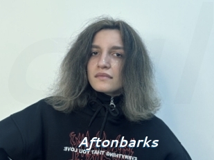 Aftonbarks