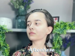 Aftonhase