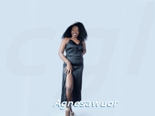 Agnesawuor