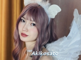 akikosato Camgirls Live