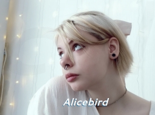 Alicebird
