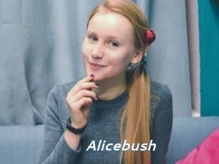 Alicebush