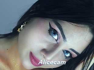 Alicecam
