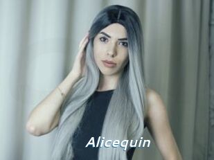 Alicequin