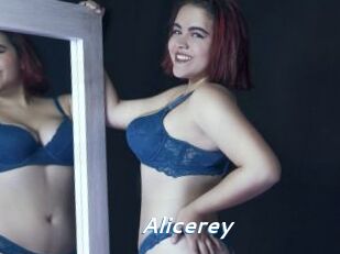 Alicerey