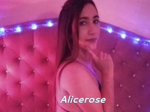 Alicerose