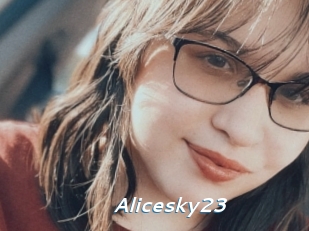 Alicesky23