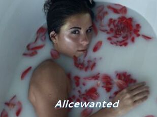 Alicewanted