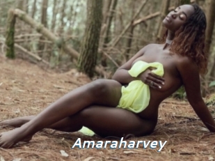Amaraharvey