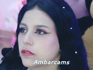Ambarcams