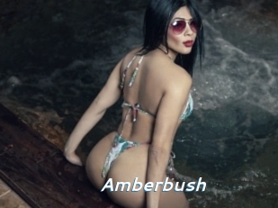 Amberbush