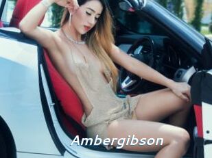 Ambergibson
