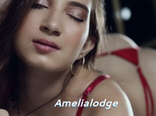 Amelialodge