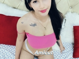 Amicut