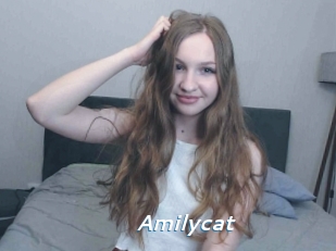 Amilycat