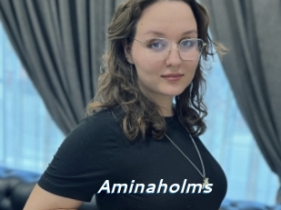 Aminaholms