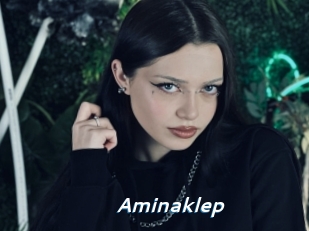 Aminaklep