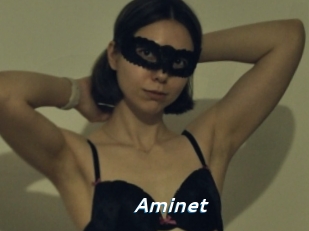 Aminet