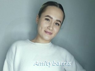 Amitybarris