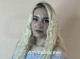 Amitybucker