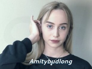 Amitybudlong