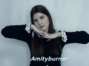 Amityburner