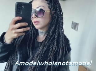Amodelwhoisnotamodel