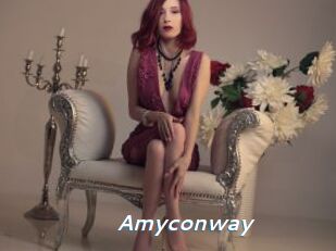 Amyconway