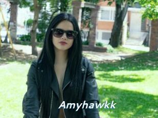 Amyhawkk