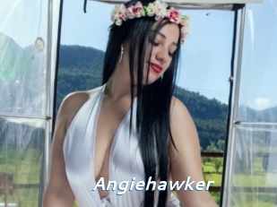 angiehawker Camgirls Live