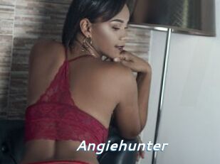 Angiehunter