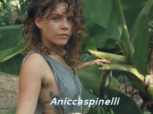 Aniccaspinelli